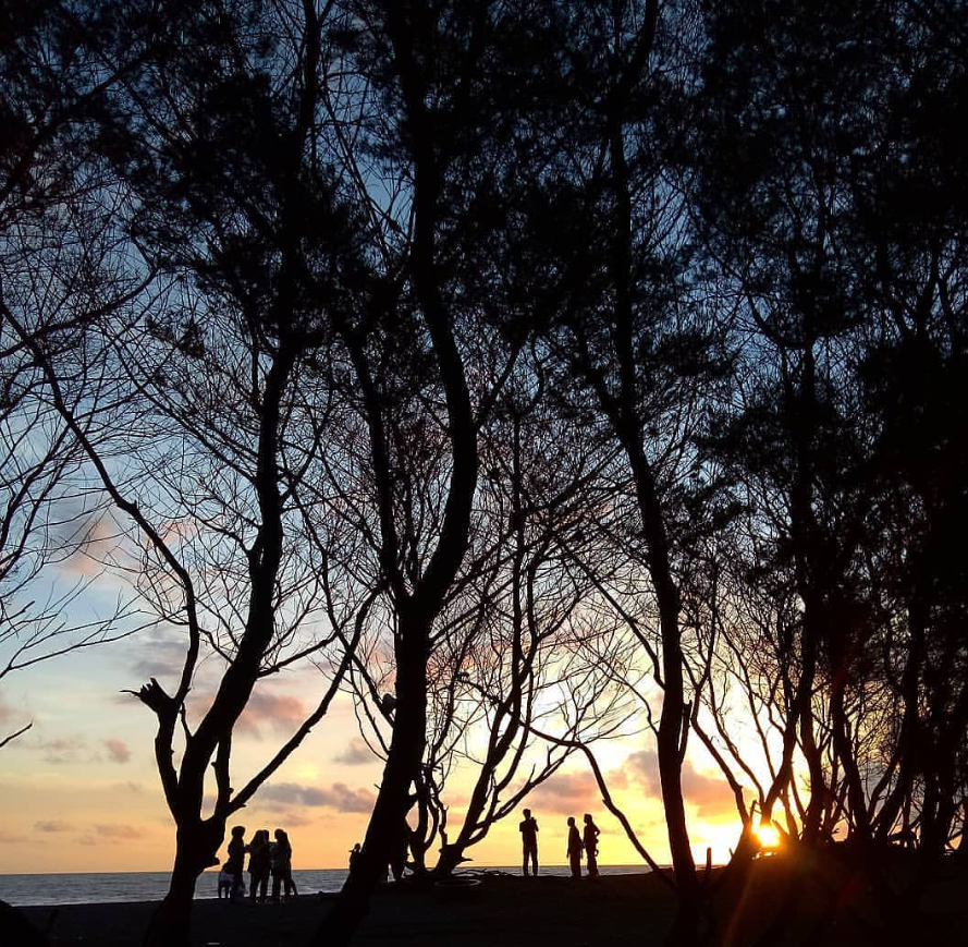 sunset in goa cemara beach